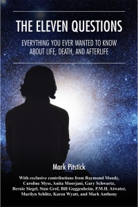 The Eleven Questions book cover